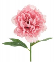 Kunstblumen | Dekoration | Pink Dots - Partystore