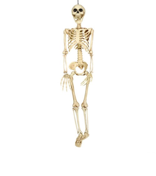 Skelett zum Hängen aus Kunststoff - 90 cm