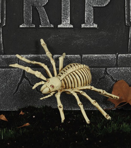 Spinnen-Skelett aus Kunststoff - 20 cm