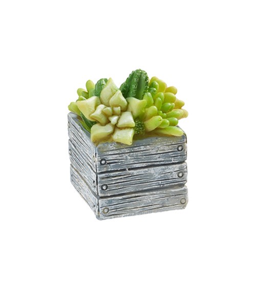 Mini Kiste mit Gewächs aus Polyresin - 3,5 cm