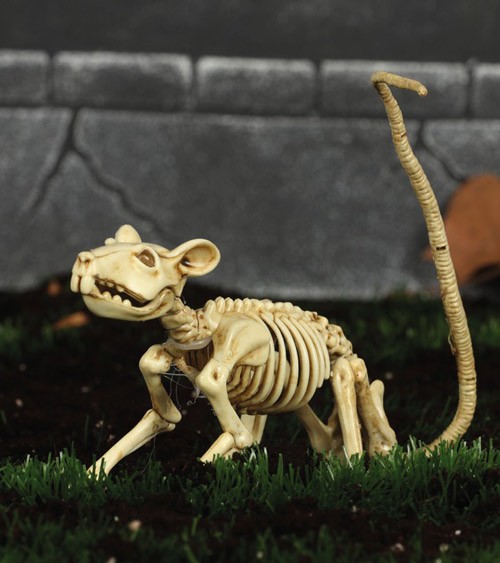 Ratten-Skelett aus Kunststoff - 20 cm