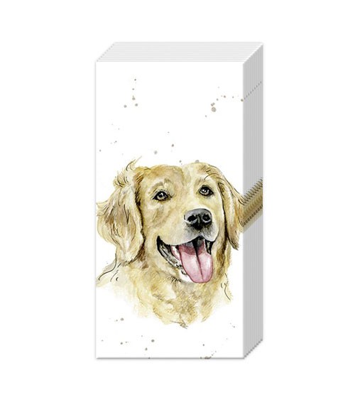 Papiertaschentücher "Farmfriends - Dog" - 10 Stück