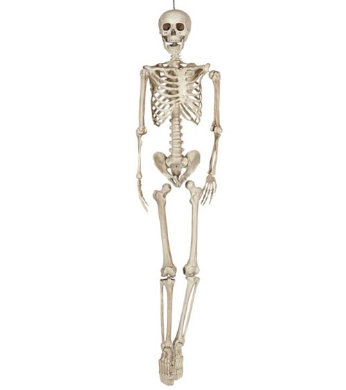 Skelett zum Hängen aus Kunststoff - 160 cm