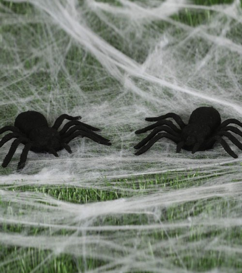 Spinnen aus Kunststoff - 10 cm - 2 Stück