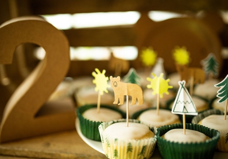Waldstimmung auf der Jungenparty mit kleinen Cupcake-Picks mit Naturmotiven (c) annalotz.fotografie.jpg